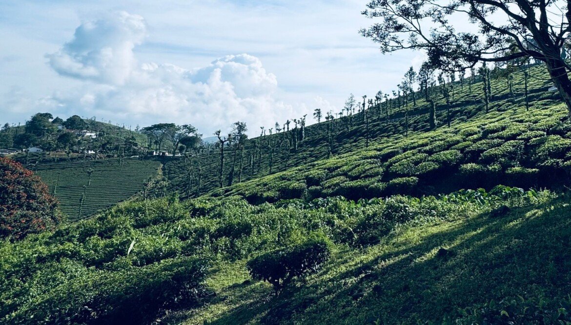 Visit Ambanadu