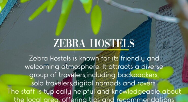 Zebra Hostels