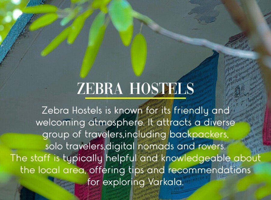 Zebra Hostels